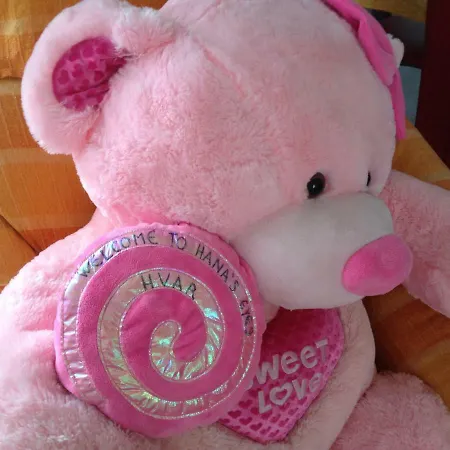 Hana's Eyes * 赫瓦尔